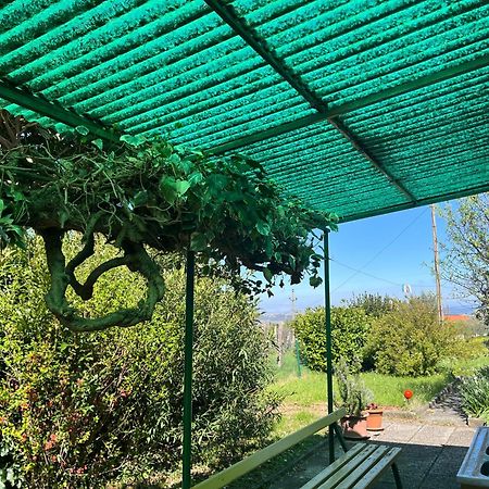 Apartma Korelc Koper Bagian luar foto