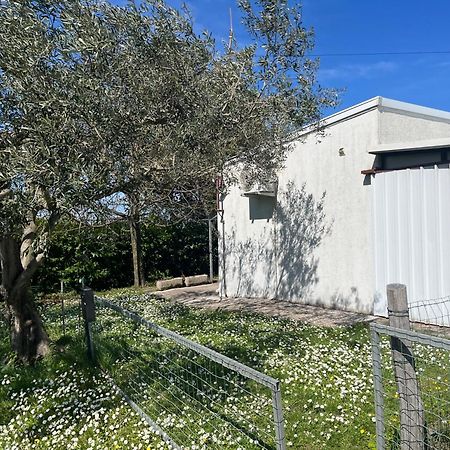 Apartma Korelc Koper Bagian luar foto