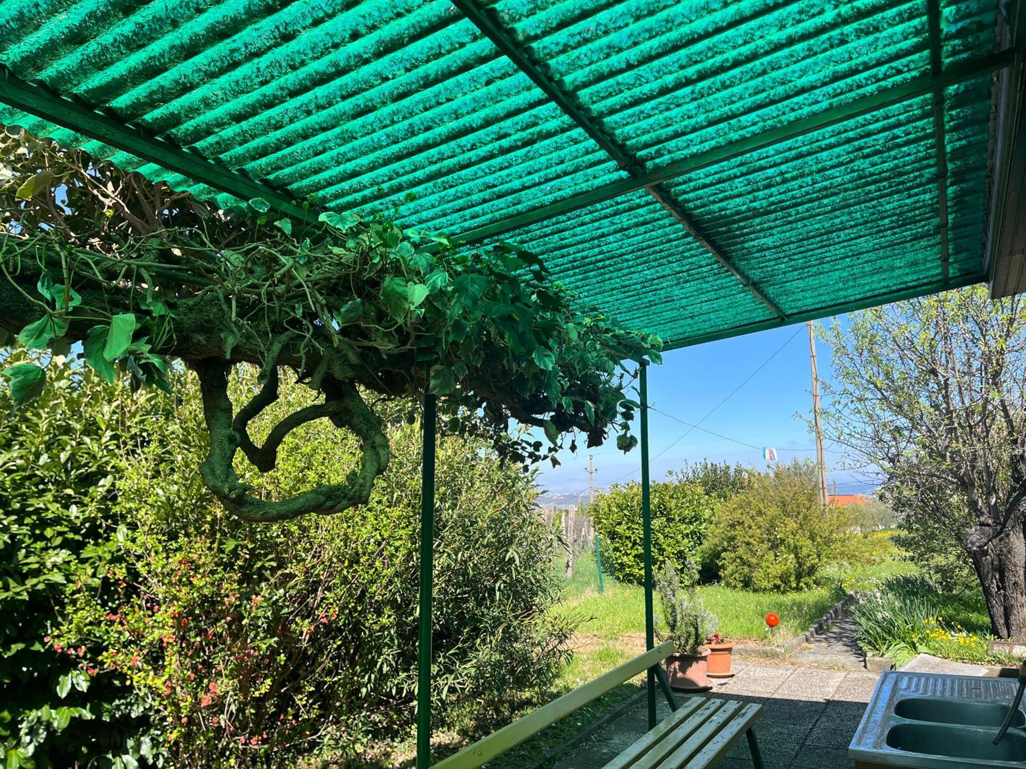 Apartma Korelc Koper Bagian luar foto