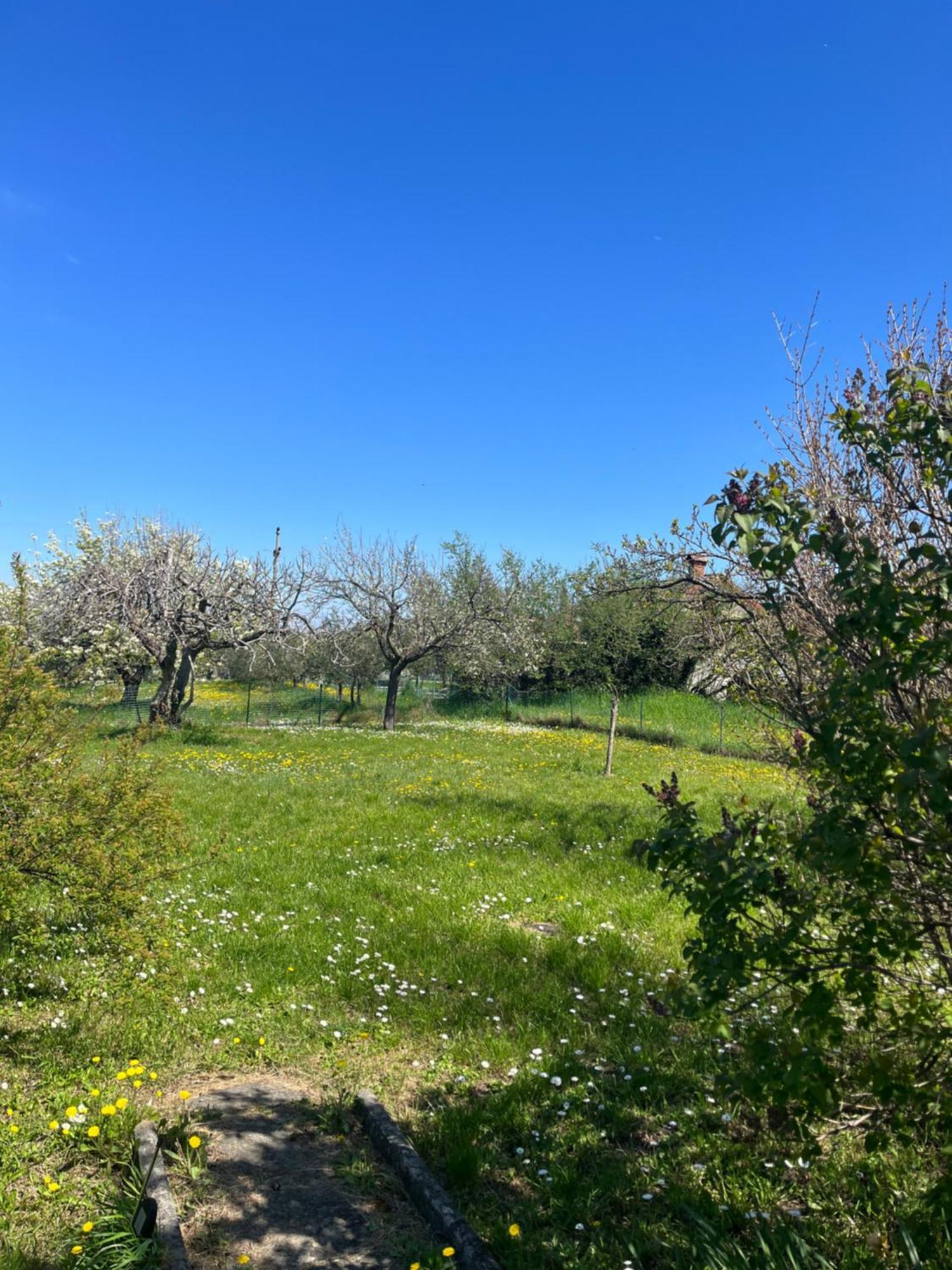 Apartma Korelc Koper Bagian luar foto