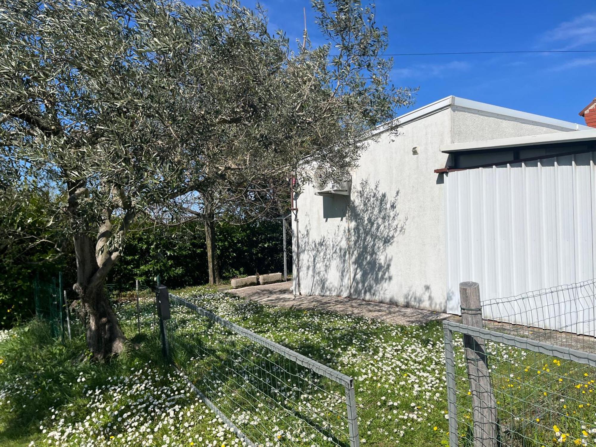 Apartma Korelc Koper Bagian luar foto